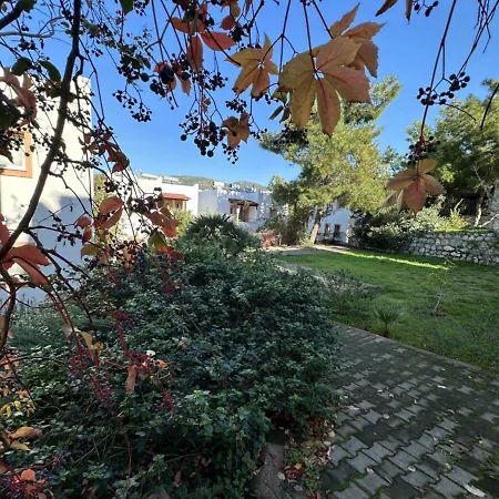 Pinky Aparthotel 4*